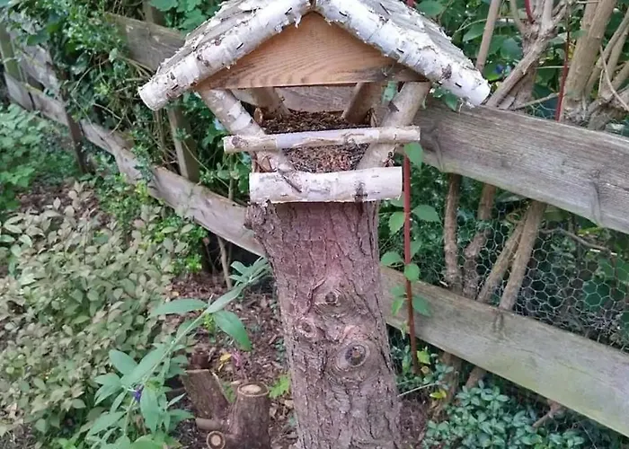 Ferienhaeuschen In Hildfeld